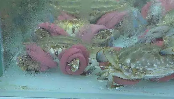 永輝、盒馬生鮮均被曝