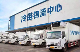 政策福利！冷鏈物流企業(yè)最高可領(lǐng)500萬(wàn)元補(bǔ)貼
