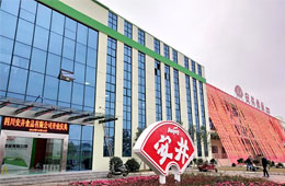 安井只是賣丸子的？不，它已成速凍品類“三劍客