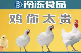量價齊升，養(yǎng)白羽肉雞咋還虧了？