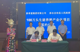 新希望六和落子渝豫甘，生豬規(guī)模再增200萬頭！