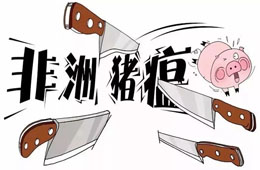 官宣 | 農(nóng)業(yè)農(nóng)村部：28省非瘟疫區(qū)解除封鎖，“豬荒”年底前有望緩解