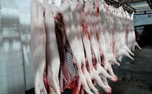 視頻丨嚴、精、快、準！正大集團的豬肉屠宰加工流程