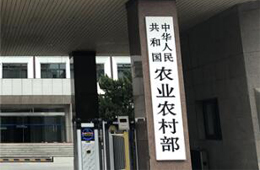 農業(yè)農村部： 各地不得以保障本地市場名義，拒絕出具跨省調運動物檢疫證明