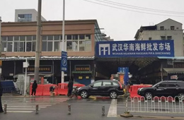武漢華南海鮮市場元旦起休市，恢復(fù)營業(yè)時(shí)間未定