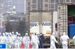 武漢華南海鮮市場完成大規(guī)模消殺；牛蛙、烏龜不列入禁食范圍