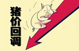  農(nóng)業(yè)農(nóng)村部：豬肉價(jià)格連8周回落，高峰或在9月前后出現(xiàn)