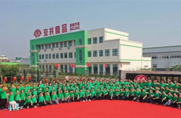 華南基地簽約，河南工廠揭牌，安井 “銷(xiāo)地產(chǎn)”布局又有新動(dòng)作