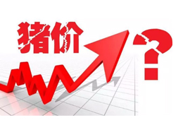 豬價又“變臉”，新一波漲勢來了？農(nóng)業(yè)農(nóng)村部：或持續(xù)到元旦春節(jié)