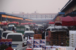 追蹤 | 冷庫停業(yè)，旺季將至，急壞凍品人！怎么辦？
