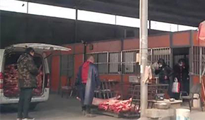 又見瘦肉精，河北青縣問題羊肉流向河南等地！當(dāng)?shù)卣o急回應(yīng)