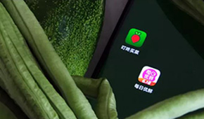 叮咚買菜、每日優(yōu)鮮接連上市，是否持續(xù)利好預(yù)制菜成為“家常菜”？