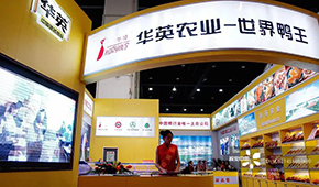  華英農業(yè)正式進入破產重整，“世界鴨王”能否浴火重生？