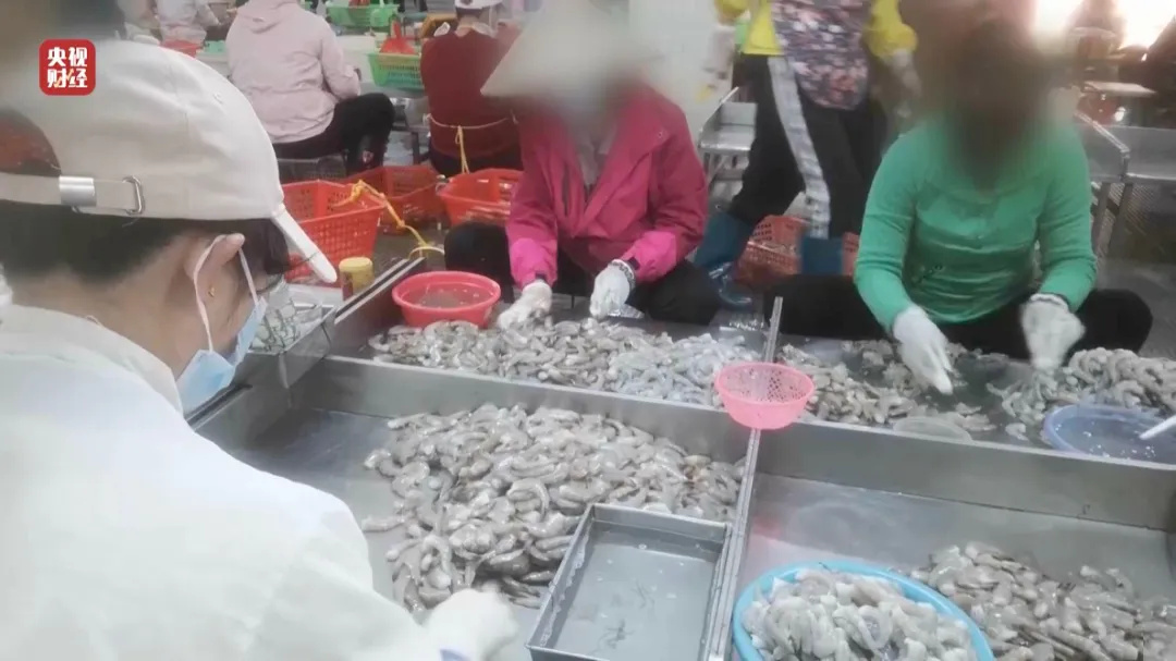 1742197826712302.jpg 1742197826712302.jpg