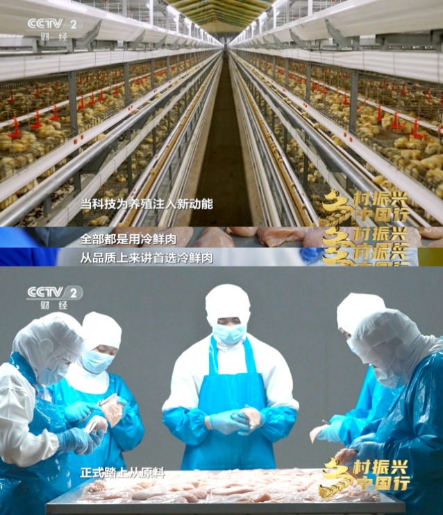 1758592993279787.png 1758592993279787.png