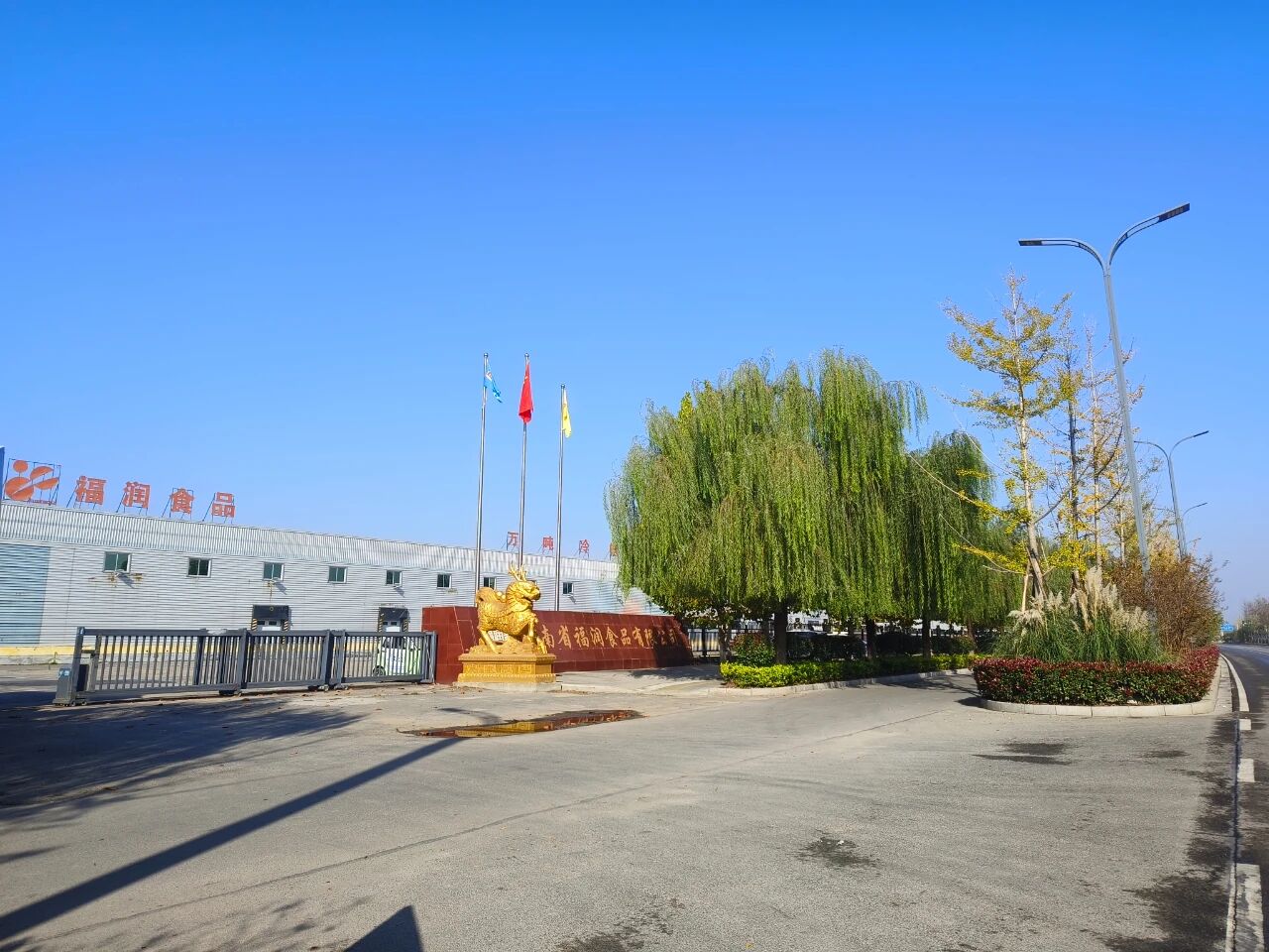 1763341736433809.jpg 1763341736433809.jpg